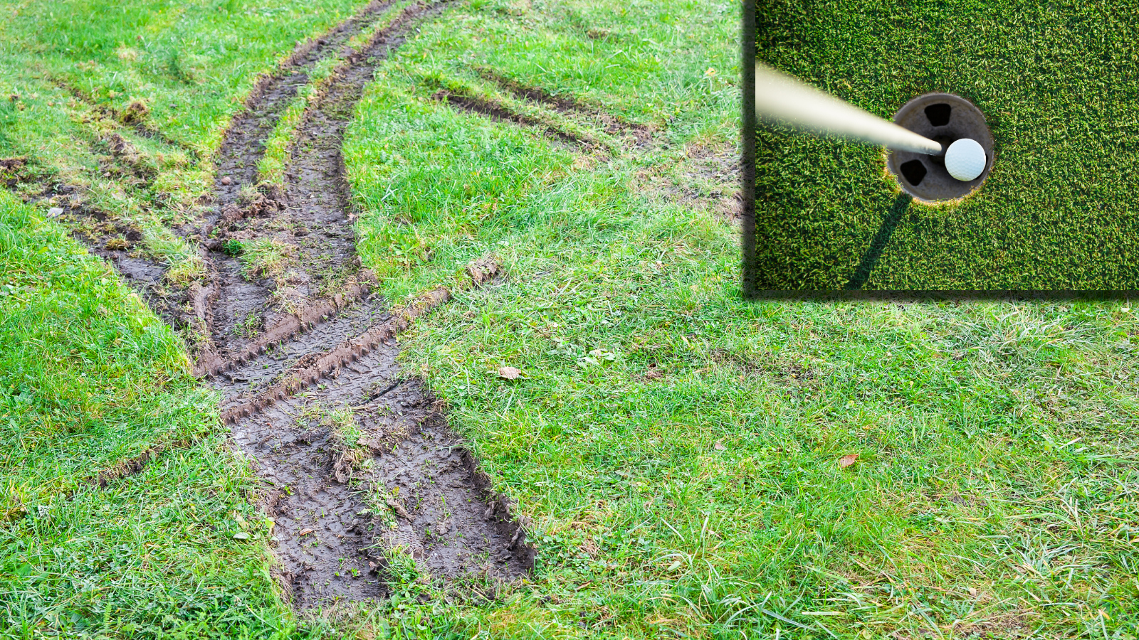 hole-in-one golf ball next to muddy car tracks on grass