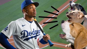Arizona Diamondbacks Minor League Affiliate Mocks Dodgers Prospect In Return From Injury