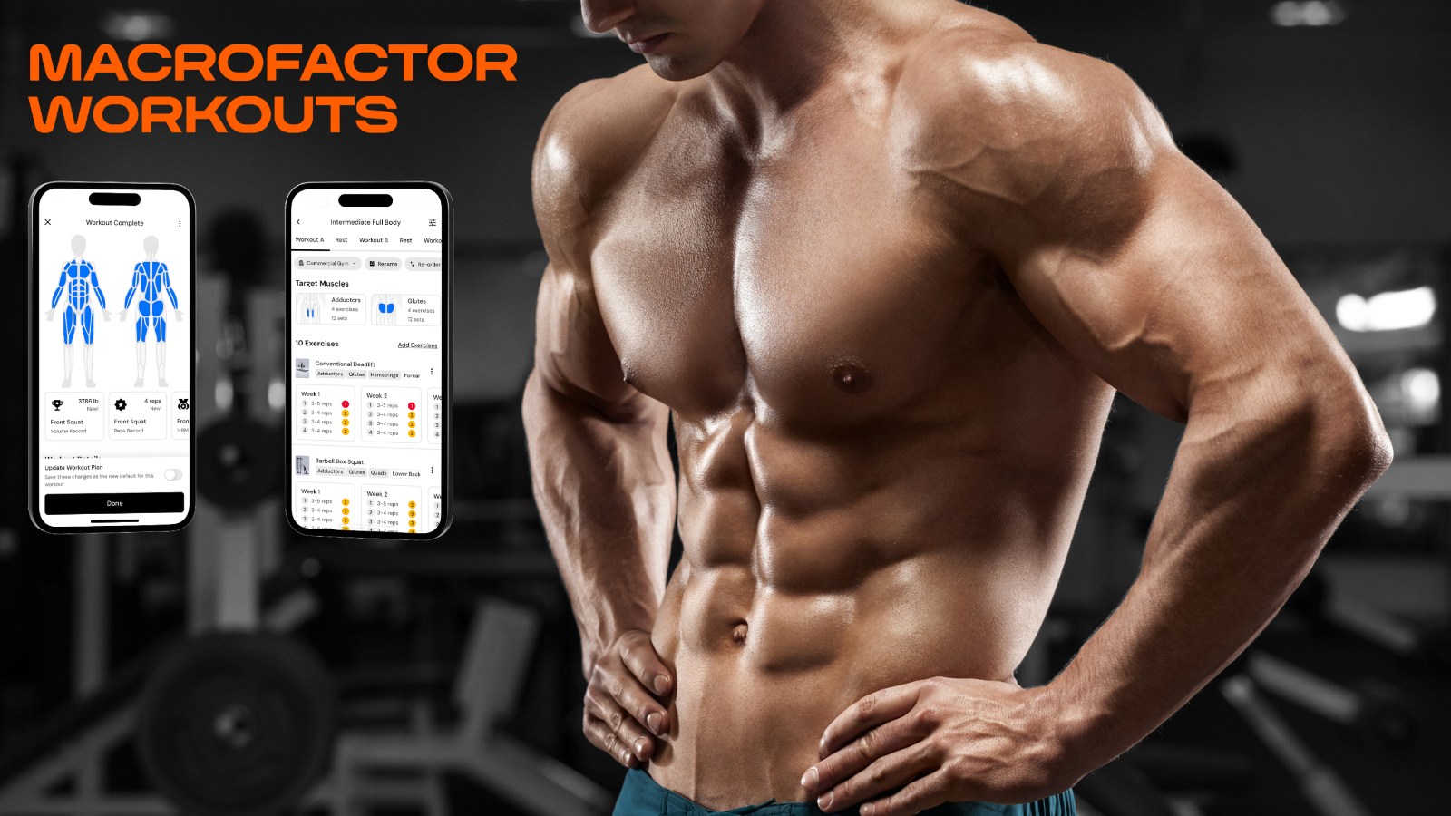 MacroFactor Versus Hevy: What's The Best App For Weightlifting?