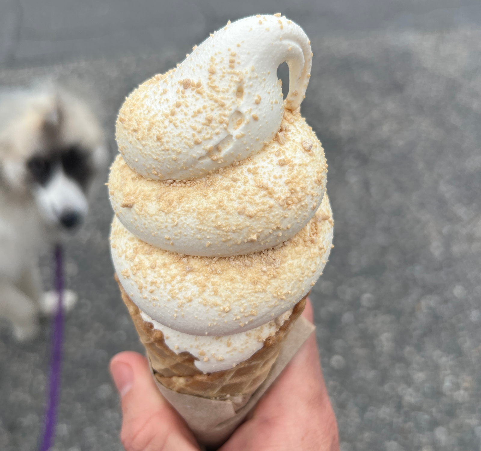 maple creami ice cream from Vermont