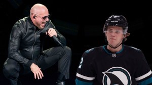 Pitbull looking at William Eklund