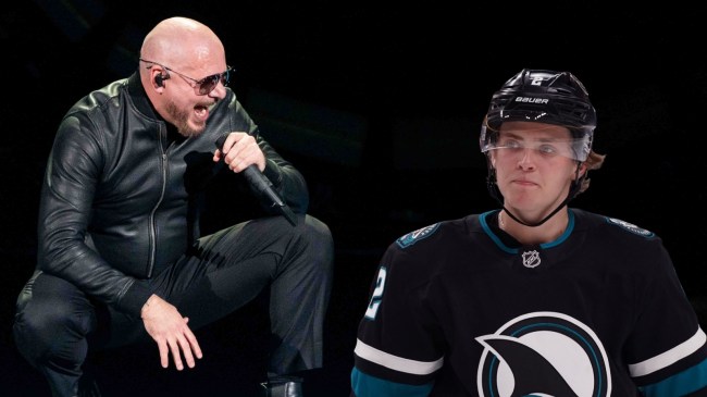 Pitbull looking at William Eklund