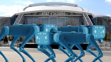 FIFA To Have Robot Dogs Patrolling World Cup Venues As Part Of Its Security Force