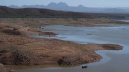 Visitors Banned From One Of Arizona’s Largest Lakes Bans After Every Single Fish Inside It Died
