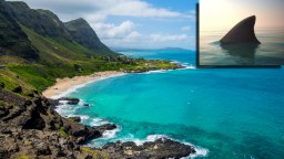 Hawaiian Surfer Describes Surviving Recent Shark Attack In Oahu In Eerie Detail: ‘I Was Just Confused’