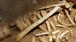 Archaeologists Baffled As Dozens Of Headless Human Skeletons Are Discovered At Burial Site