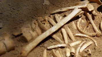 Archaeologists Baffled As Dozens Of Headless Human Skeletons Are Discovered At Burial Site
