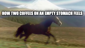 These Are The 52 Best Memes On The Internet This Week