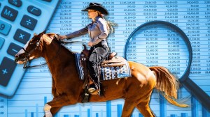 UC Davis equestrian program cut financial audit money lie investigation