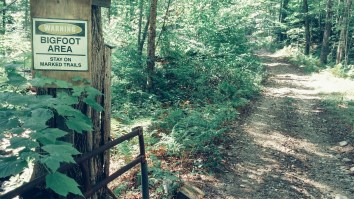 Three Possible Bigfoot Sightings Reported In Texas, Idaho And Ontario: ‘We Felt A Presence’