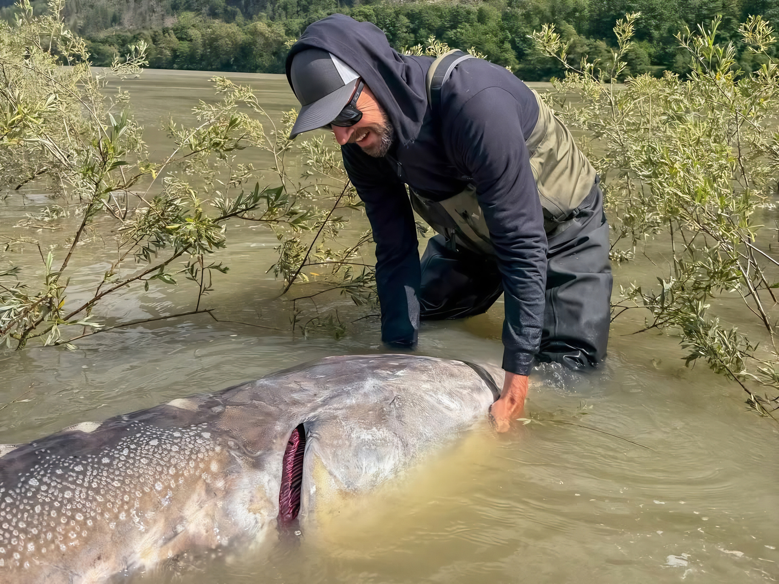 new white sturgeon fishing world record caught by Sturgeon Slayers 