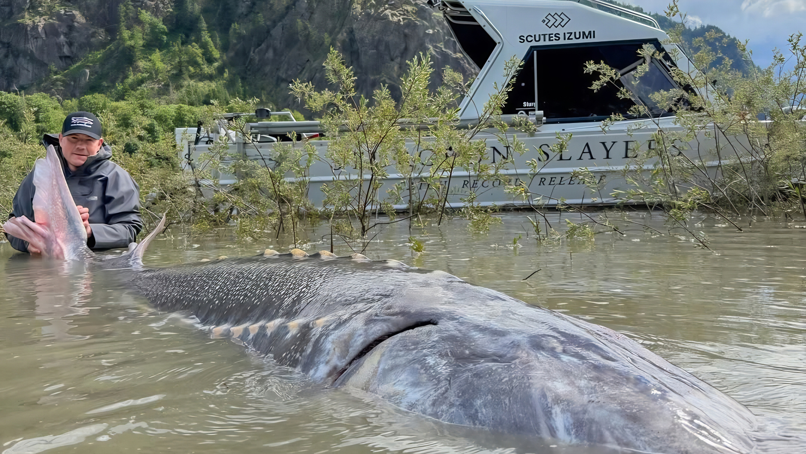 new white sturgeon fishing world record caught by Sturgeon Slayers