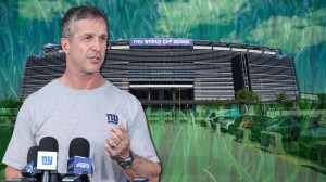 World Cup Grass Turf MetLife Stadium NFL Playing Surface Field Conditions