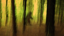 ‘I’m No Longer A Skeptic’: Connecticut Man Reports Encountering 8-Foot-Tall ‘Creature’ He Believes Was Bigfoot