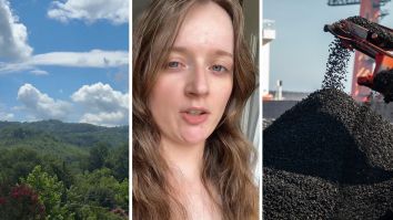 Coal Companies Blew Up Long Ridge Mountain 100 Years Ago. All That’s Left Are The ‘Cheap Trees’ They Planted. West Virginia Woman Says It’s Happening All Over Again With Data Centers