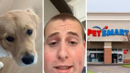 Man Takes Golden Retriever To PetSmart For Grooming. He Can’t Believe What Dog He Got Back: ‘I Would Have Called The Cops’