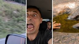 Man’s Kids Scream When They Drive By The Woods, Claim They Saw Bigfoot. He Thought They Were ‘Full of Crap.’ Then He Does A U-Turn To See For Himself