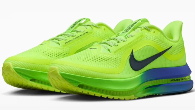 Nike Pegasus Premium Men's Road Running Shoes