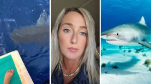 woman looking under her boat (l) woman shares ocean encounter (c) large tiger shark (r)