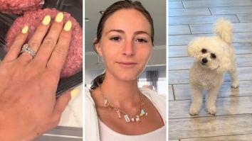 Florida Woman Goes To Dog Communicator, Finds Out What Her Dog Really Wants To Eat. Then She Makes It: ‘Bro Wants Steak Tartare’