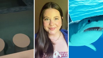 Woman Has Fear Of Sharks Growing Up. Then She Goes To Florida, Sees Inside The Pool Of Her Vacation Rental: ‘The Way I Wouldn’t Even Get In’