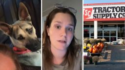 Woman Takes Her 2-Year-Old German Shepherd To Get A Bath At Tractor Supply. It Almost Proves To Be Her Last: ‘Post-Grooming Furunculosis’