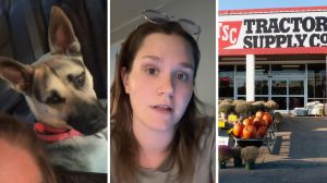 young German Shepard (l) woman shares groomers issue (c) Tractor Supply storefront (r)