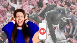 Alabama Fans Ruthlessly Cyberbullied Sorority Girls For Telling Them What To Wear At Football Games