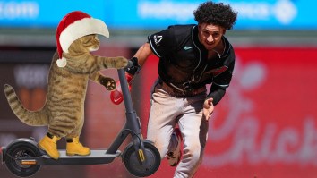 Top Los Angeles Dodgers Prospect Drilled By Giant Cat On Electric Scooter Dressed As Santa Claus