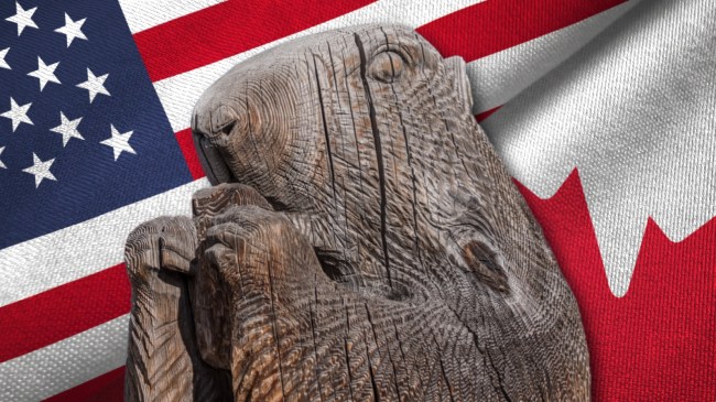 Beaver statue over American and Canadian flags