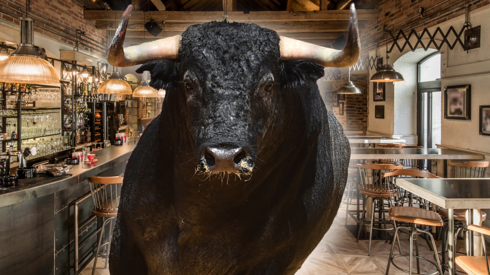 Bull Enters Spanish Café, Gets Escorted Out by Waiter Bull Enters Spanish Café, Gets Escorted Out by Waiter