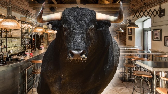Bull in restaurant