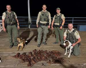 California Spiny Lobster poaching bust at the Santa Monica Pier, July 2026