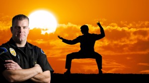 Police officer versus martial arts expert in Virginia