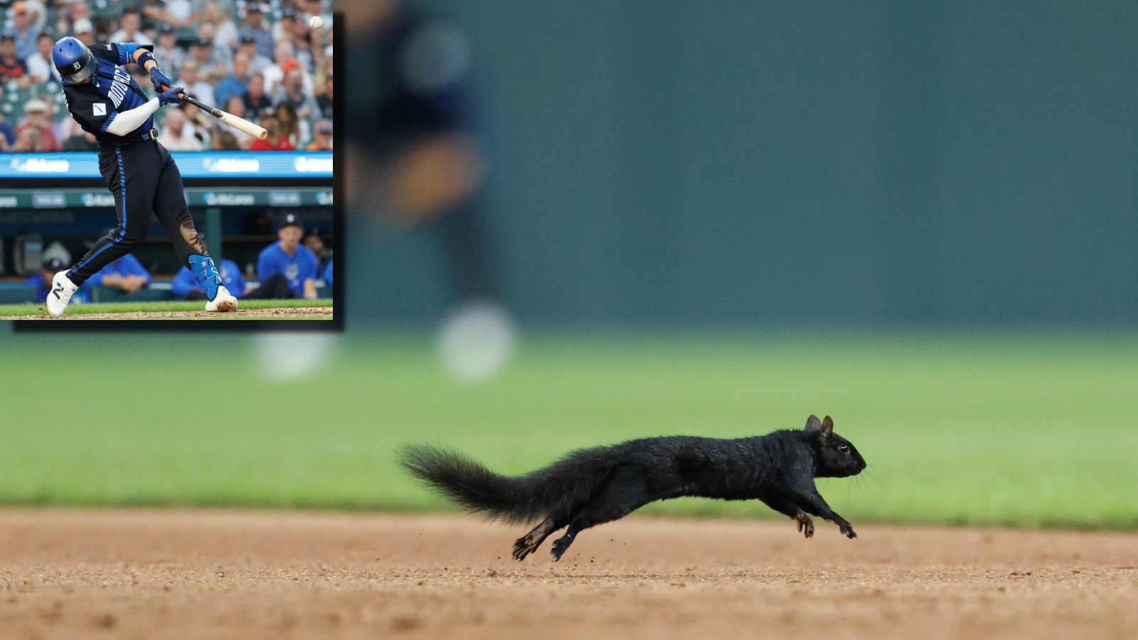 Squirrel on the field during Detroit Tigers vs. Baltimore Orioles game
