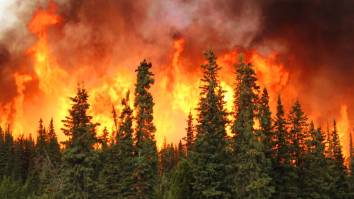 Railway Worker Captures Insane Video Of Train Surrounded By Flames After Being Forced To Stop In Middle Of Ontario Forest Fire