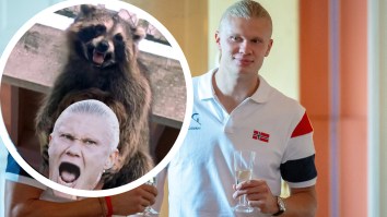 Norway May Not Have Won The World Cup But Erling Haaland Still Went Home With A Trophy – A Taxidermy Raccoon Holding A Bottle Of Whiskey