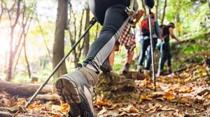 Hiker with poles