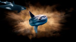 An Orca Was Filmed Ramming A Sunfish So Hard It Exploded Underwater (Video)