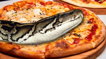 Florida Restaurant Giving Away Python Pizzas To Anyone Who Brings Them A Snake They Can Use To Make One