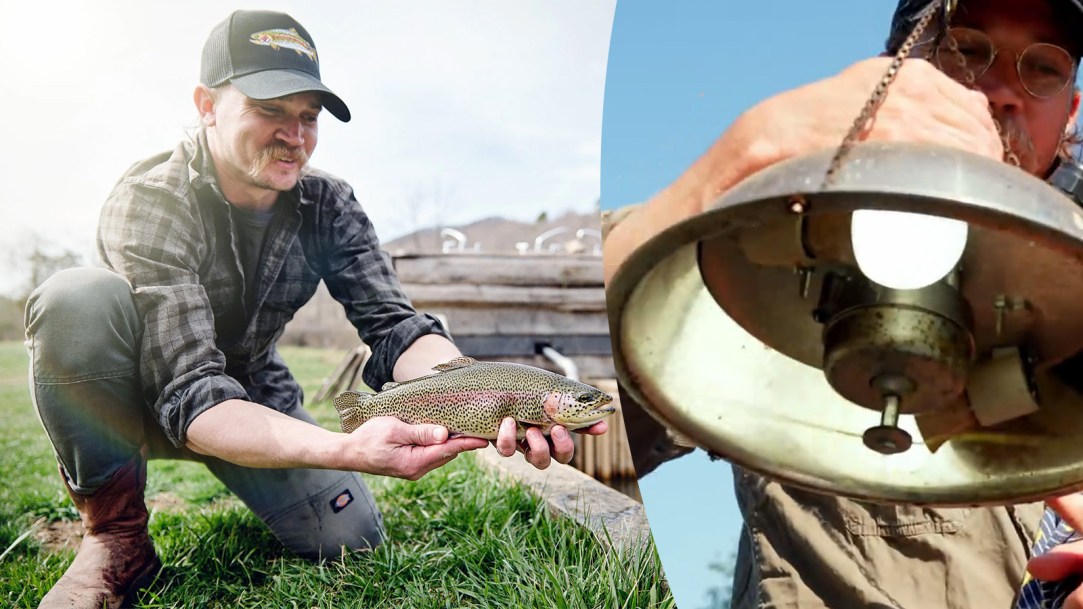 Virginia Trout Farm Redneck Invention Bug Zapper Fish Smoke In Chimneys