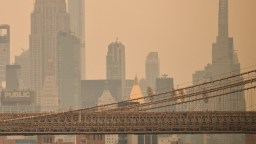 Massive Amounts Of Smoke Is Visible From Space As More Than 850 Wildfires Burn In Canada