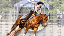 UC Davis Refutes Suspicious Financial Audit Used To Justify Controversy Surrounding Equestrian Program Cut