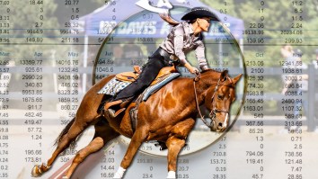 UC Davis Refutes Suspicious Financial Audit Used To Justify Controversial Equestrian Program Cut