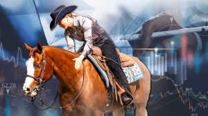 UC Davis Equestrian Financial Audit
