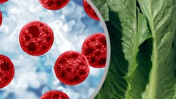 ‘Explosive Diarrhea’ Outbreak Linked To 6 More States As First Deaths Reported And Over 20K Cases Suspected In The US
