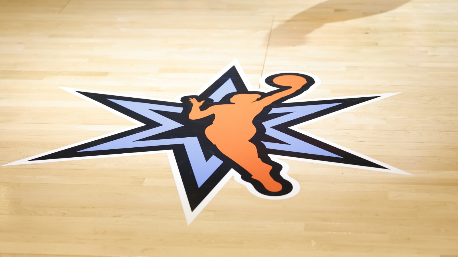 WNBA punishes fan who threw adult toy onto court 