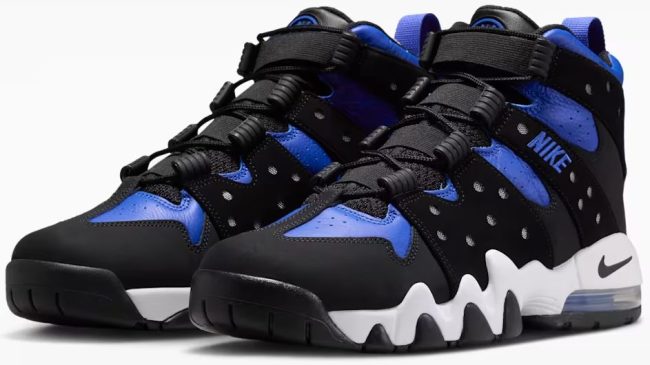 Nike Air Max2 CB '94 shoes