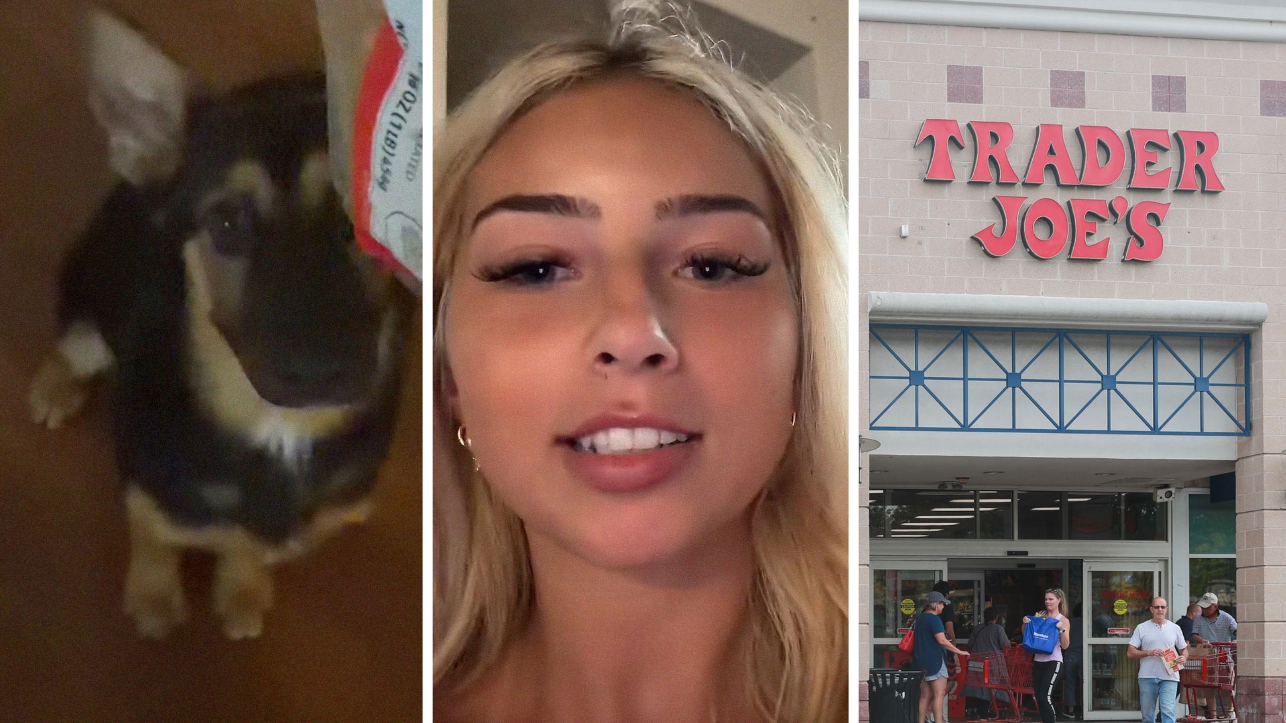 German shephard pup (l) woman shares dog concern (c) Trader Joe's storefront (r)