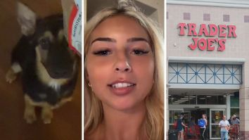 Woman Defrosts Trader Joe’s Ground Beef On Kitchen Counter. Then Her German Shepherd Eats It—Now What?